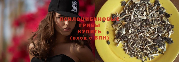 бутират Богородицк