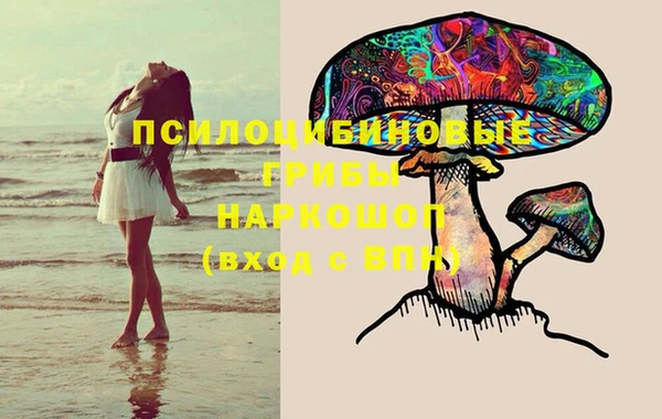 ешки Богданович